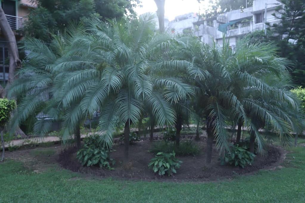 Divine India Service Apartment 3Bhk,B57 Sarita Vihar,Apollo Nuova Delhi Esterno foto