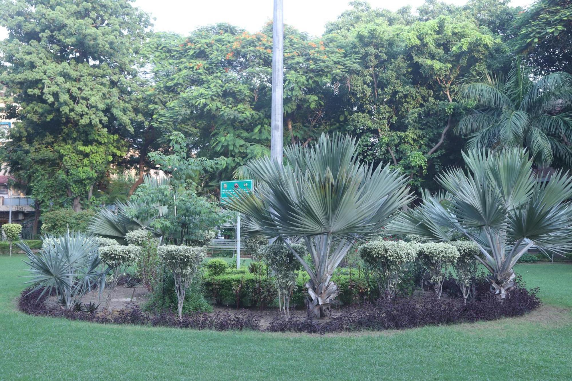 Divine India Service Apartment 3Bhk,B57 Sarita Vihar,Apollo Nuova Delhi Esterno foto
